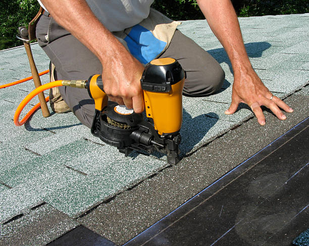 Best Roof Waterproofing Services  in Lake Holiday, IL