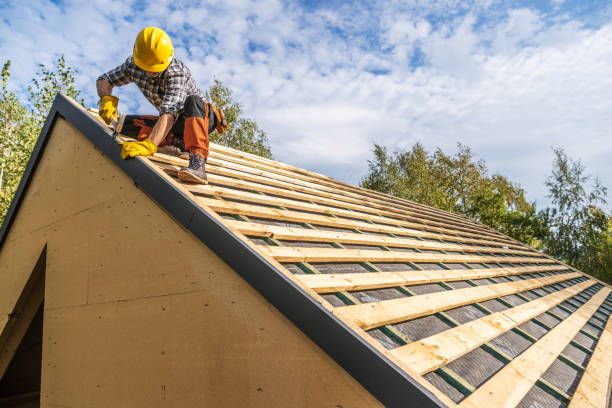 Best Gutter Installation and Roofing  in Lake Holiday, IL