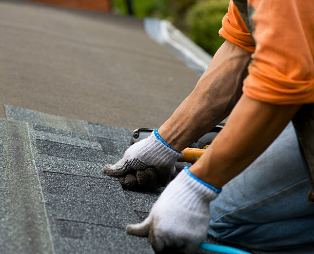 Best Shingle Roofing Installation  in Lake Holiday, IL