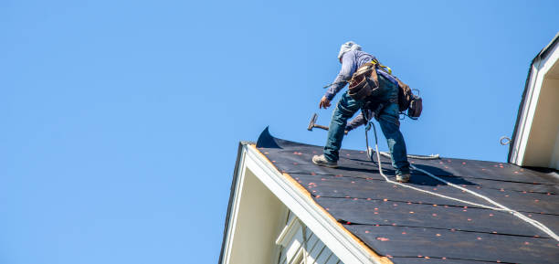 Best Roof Restoration Services  in Lake Holiday, IL